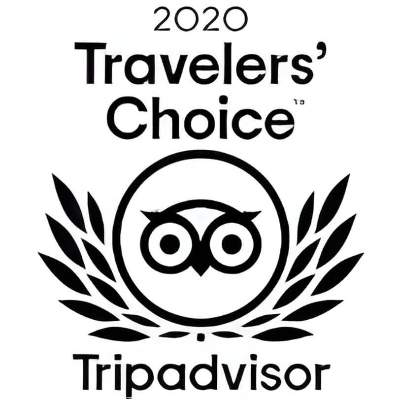 TripAdvisor 2020 Travelers' Choice award logo, featuring an owl icon and laurel wreath.